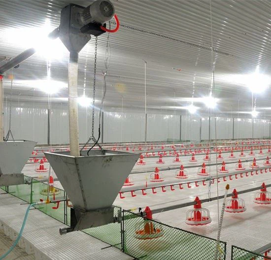 Orange And White Automatic Broiler Pan Feeding System