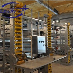 Automatinė paukštinių sluoksnių auginimo paukščių įranga
