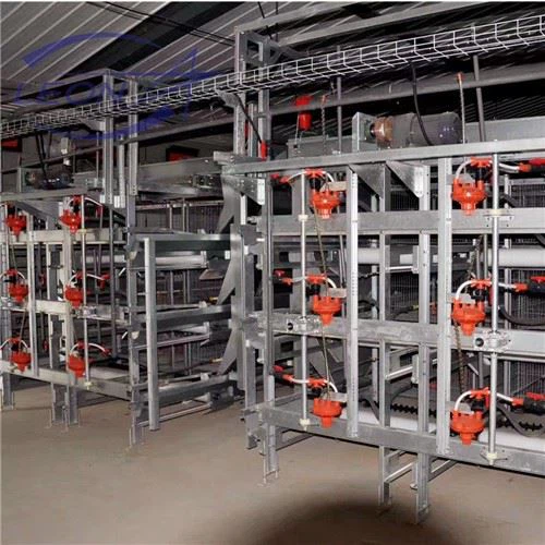 Sturdy Durable H Type Broilers Cage