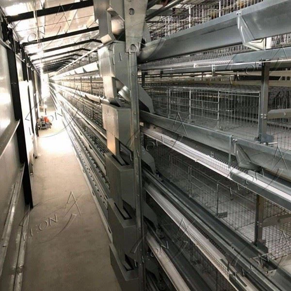 Poultry Cages Equipment Layer Cage System(NEW)