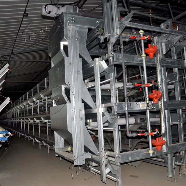 Automatic Layer Cage System